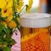 05.06.26: Weißbier-Tasting im Blesius Garten
