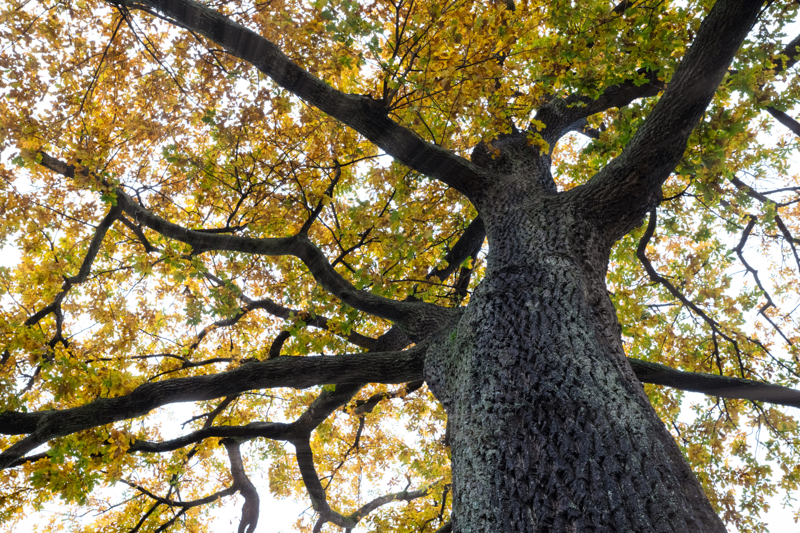 Hintergrund